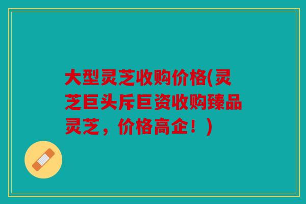大型灵芝收购价格(灵芝巨头斥巨资收购臻品灵芝，价格高企！)