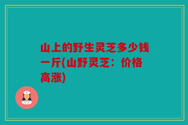 山上的野生灵芝多少钱一斤(山野灵芝：价格高涨)