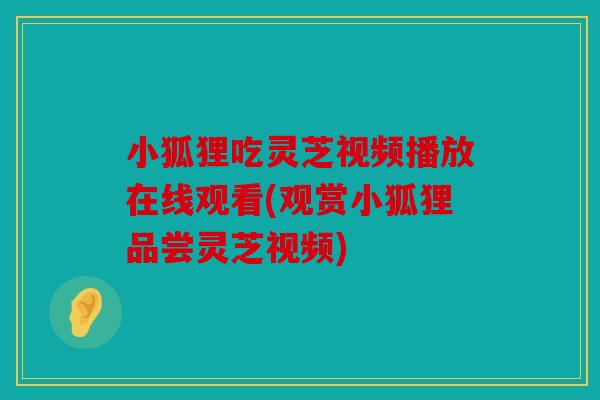 小狐狸吃灵芝视频播放在线观看(观赏小狐狸品尝灵芝视频)