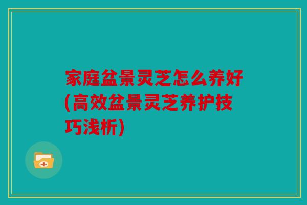 家庭盆景灵芝怎么养好(高效盆景灵芝养护技巧浅析)