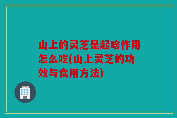 山上的灵芝是起啥作用怎么吃(山上灵芝的功效与食用方法)