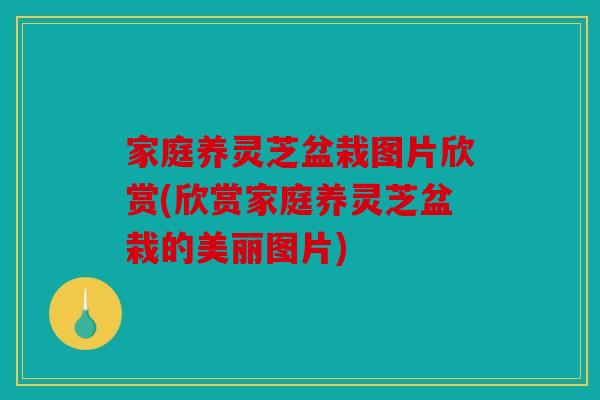 家庭养灵芝盆栽图片欣赏(欣赏家庭养灵芝盆栽的美丽图片)