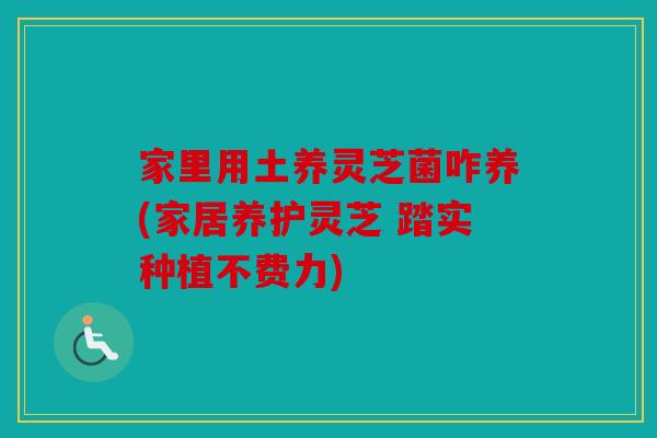 家里用土养灵芝菌咋养(家居养护灵芝 踏实种植不费力)
