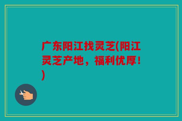 广东阳江找灵芝(阳江灵芝产地，福利优厚！)