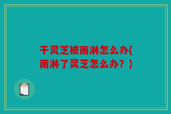 干灵芝被雨淋怎么办(雨淋了灵芝怎么办？)