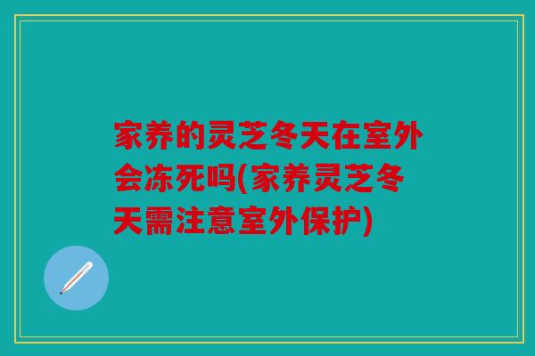 家养的灵芝冬天在室外会冻死吗(家养灵芝冬天需注意室外保护)