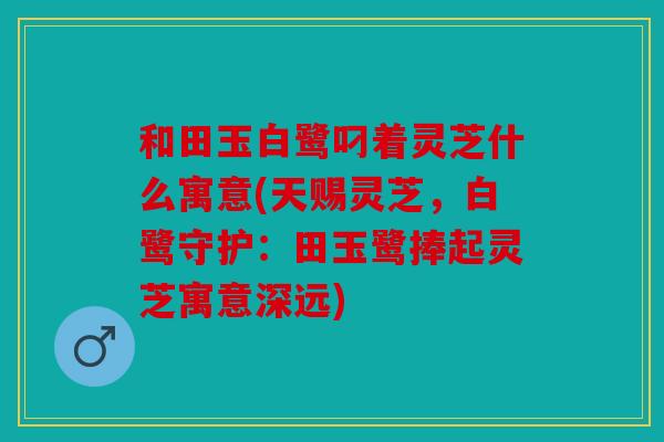 和田玉白鹭叼着灵芝什么寓意(天赐灵芝，白鹭守护：田玉鹭捧起灵芝寓意深远)