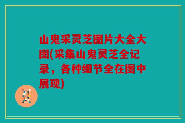 山鬼采灵芝图片大全大图(采集山鬼灵芝全记录，各种细节全在图中展现)