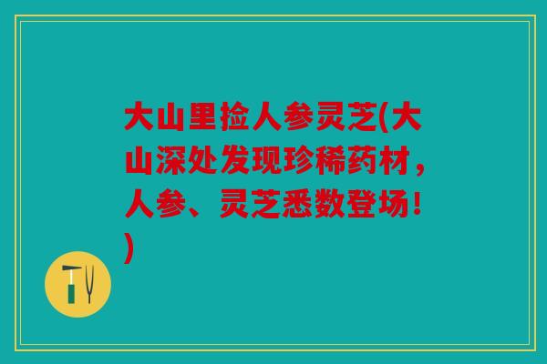 大山里捡人参灵芝(大山深处发现珍稀药材，人参、灵芝悉数登场！)