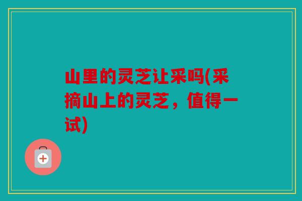 山里的灵芝让采吗(采摘山上的灵芝，值得一试)