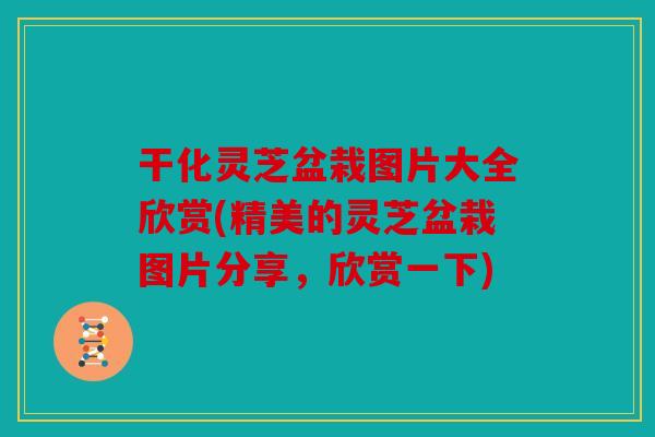 干化灵芝盆栽图片大全欣赏(精美的灵芝盆栽图片分享，欣赏一下)