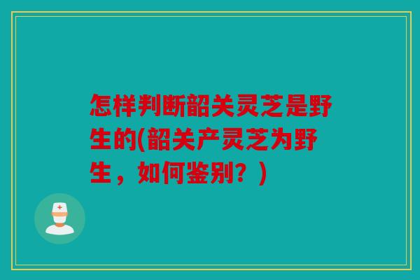 怎样判断韶关灵芝是野生的(韶关产灵芝为野生，如何鉴别？)