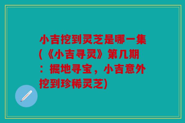 小吉挖到灵芝是哪一集(《小吉寻灵》第几期：掘地寻宝，小吉意外挖到珍稀灵芝)
