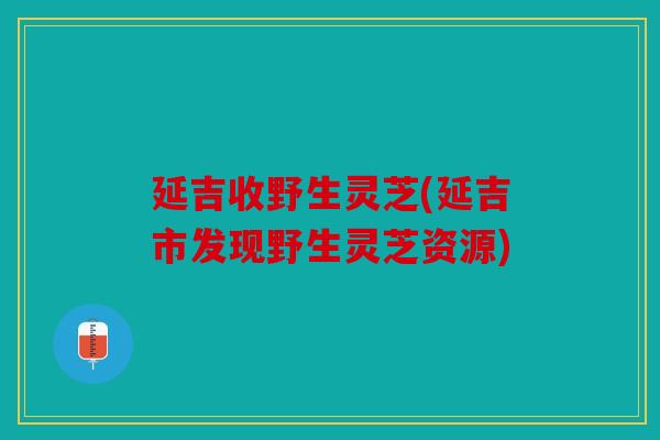 延吉收野生灵芝(延吉市发现野生灵芝资源)
