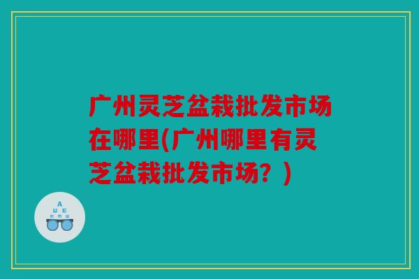 广州灵芝盆栽批发市场在哪里(广州哪里有灵芝盆栽批发市场？)