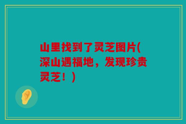 山里找到了灵芝图片(深山遇福地，发现珍贵灵芝！)