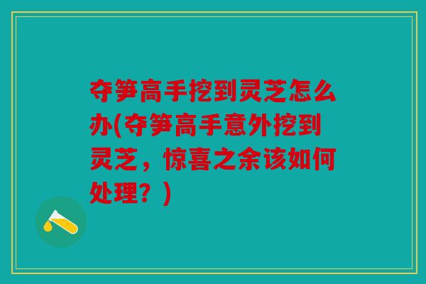 夺笋高手挖到灵芝怎么办(夺笋高手意外挖到灵芝，惊喜之余该如何处理？)