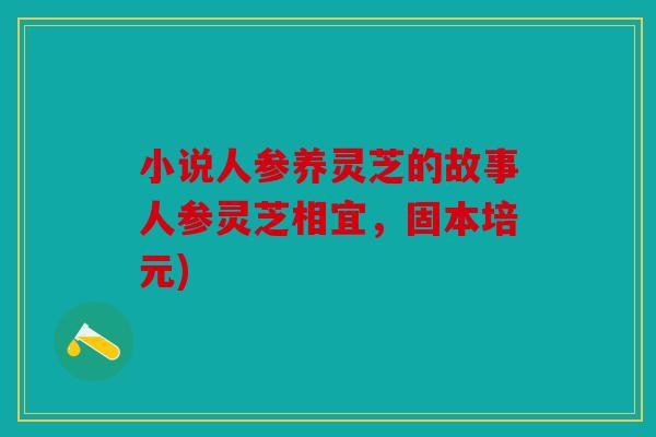 小说人参养灵芝的故事人参灵芝相宜，固本培元)