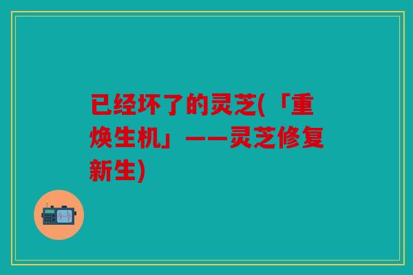 已经坏了的灵芝(「重焕生机」——灵芝修复新生)