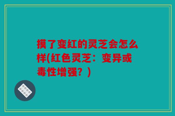 摸了变红的灵芝会怎么样(红色灵芝：变异或毒性增强？)
