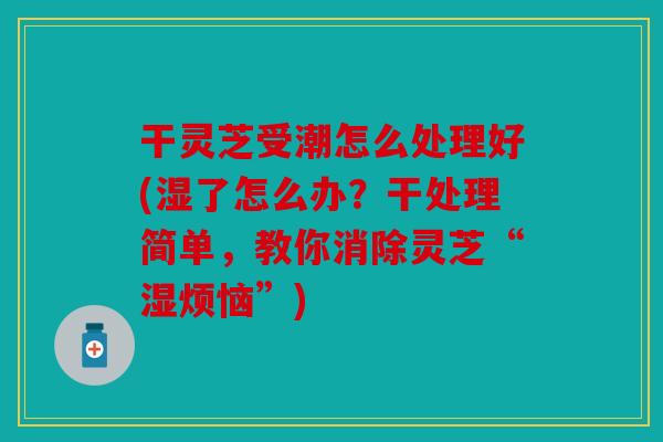 干灵芝受潮怎么处理好(湿了怎么办？干处理简单，教你消除灵芝“湿烦恼”)