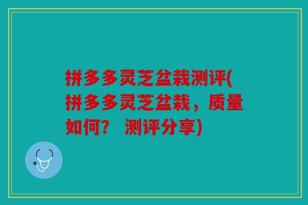 拼多多灵芝盆栽测评(拼多多灵芝盆栽，质量如何？ 测评分享)