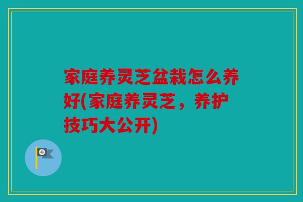 家庭养灵芝盆栽怎么养好(家庭养灵芝，养护技巧大公开)