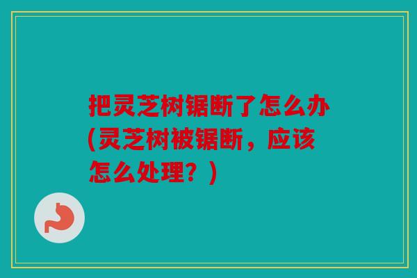 把灵芝树锯断了怎么办(灵芝树被锯断，应该怎么处理？)