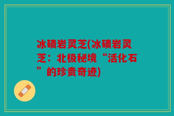 冰碛岩灵芝(冰碛岩灵芝：北极秘境“活化石”的珍贵奇迹)