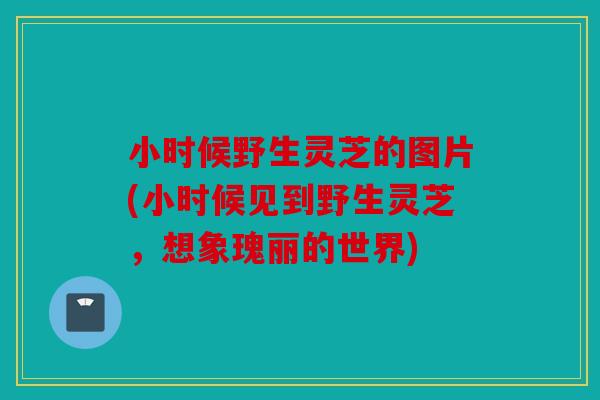 小时候野生灵芝的图片(小时候见到野生灵芝，想象瑰丽的世界)