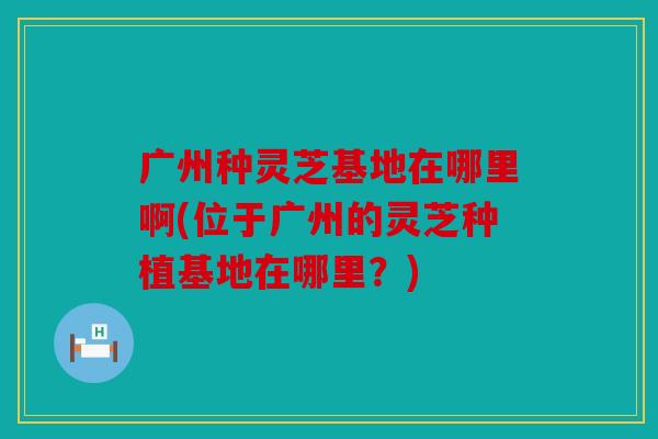 广州种灵芝基地在哪里啊(位于广州的灵芝种植基地在哪里？)