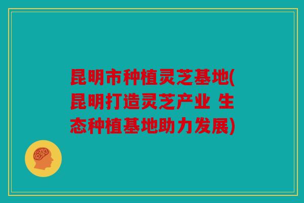 昆明市种植灵芝基地(昆明打造灵芝产业 生态种植基地助力发展)
