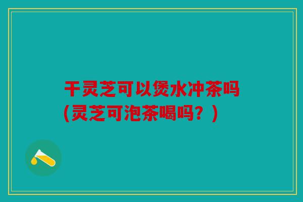 干灵芝可以煲水冲茶吗(灵芝可泡茶喝吗？)