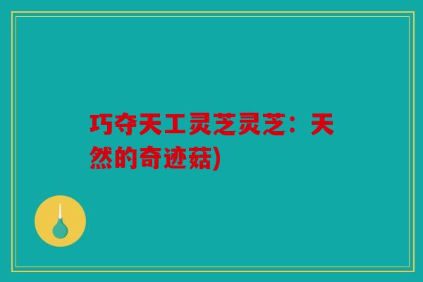 巧夺天工灵芝灵芝：天然的奇迹菇)
