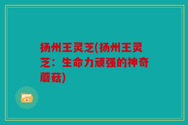 扬州王灵芝(扬州王灵芝：生命力顽强的神奇蘑菇)