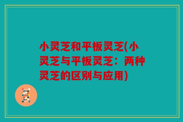 小灵芝和平板灵芝(小灵芝与平板灵芝：两种灵芝的区别与应用)