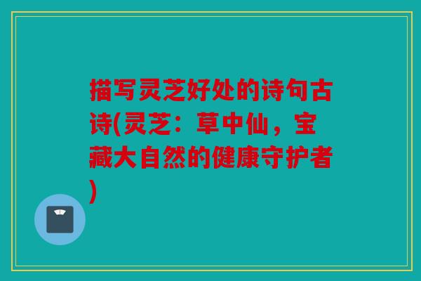 描写灵芝好处的诗句古诗(灵芝：草中仙，宝藏大自然的健康守护者)