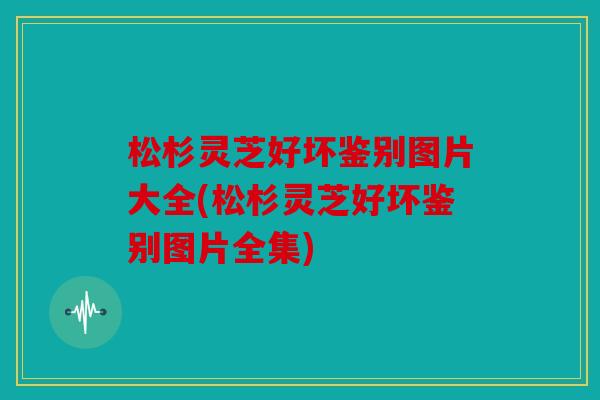 松杉灵芝好坏鉴别图片大全(松杉灵芝好坏鉴别图片全集)