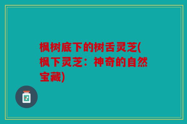 枫树底下的树舌灵芝(枫下灵芝：神奇的自然宝藏)