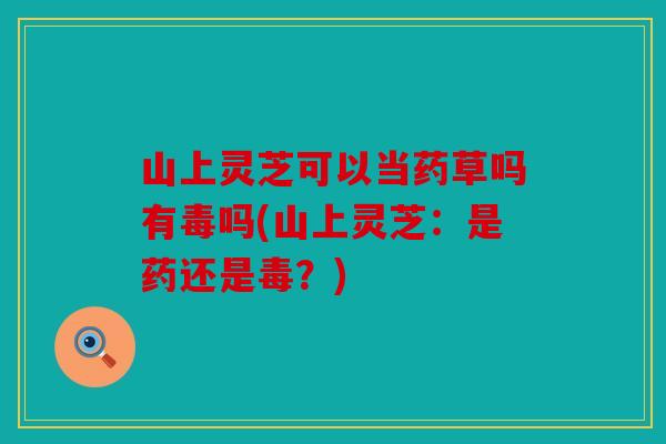 山上灵芝可以当药草吗有毒吗(山上灵芝：是药还是毒？)