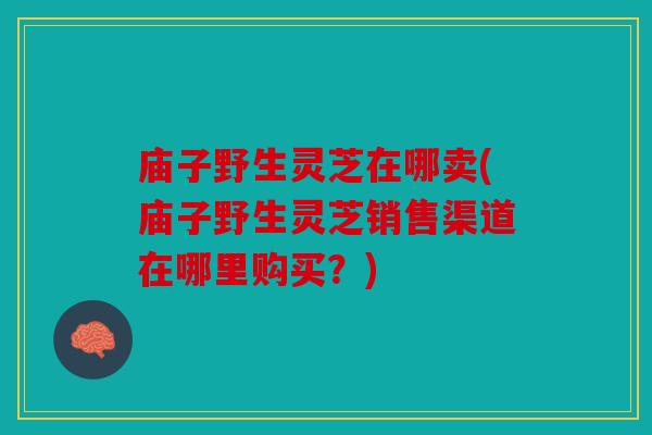 庙子野生灵芝在哪卖(庙子野生灵芝销售渠道在哪里购买？)