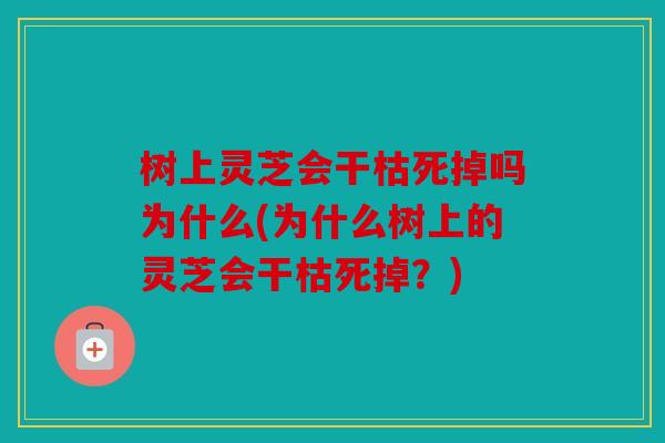 树上灵芝会干枯死掉吗为什么(为什么树上的灵芝会干枯死掉？)