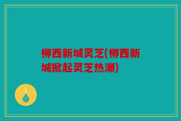 柳西新城灵芝(柳西新城掀起灵芝热潮)