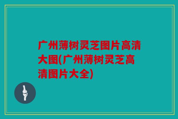 广州薄树灵芝图片高清大图(广州薄树灵芝高清图片大全)