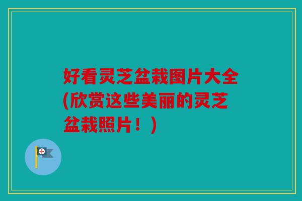 好看灵芝盆栽图片大全(欣赏这些美丽的灵芝盆栽照片！)