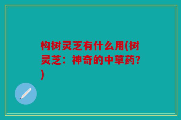构树灵芝有什么用(树灵芝：神奇的中草药？)