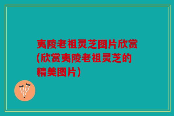 夷陵老祖灵芝图片欣赏(欣赏夷陵老祖灵芝的精美图片)