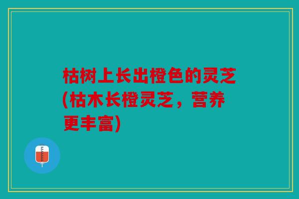 枯树上长出橙色的灵芝(枯木长橙灵芝，营养更丰富)