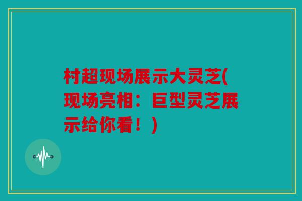 村超现场展示大灵芝(现场亮相：巨型灵芝展示给你看！)