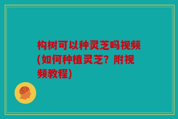 构树可以种灵芝吗视频(如何种植灵芝？附视频教程)